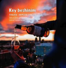 آهنگ جدید هامون قارون به نام کی بشینیم